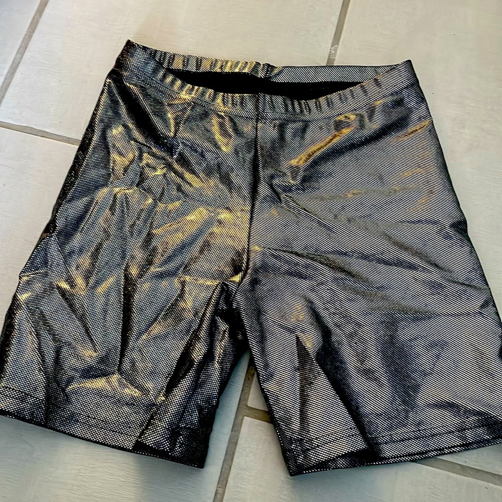 American apparel  shiny spandex shorts